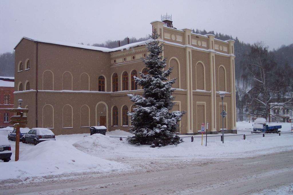Stastna Trinactka Apartment Svoboda nad Úpou Cameră foto